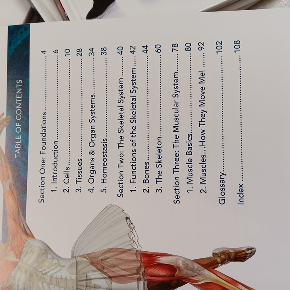 Master Books Wonders of the Human Body By Dr. Tommy Mitchell Volume 1-4 - Picture 4 of 16